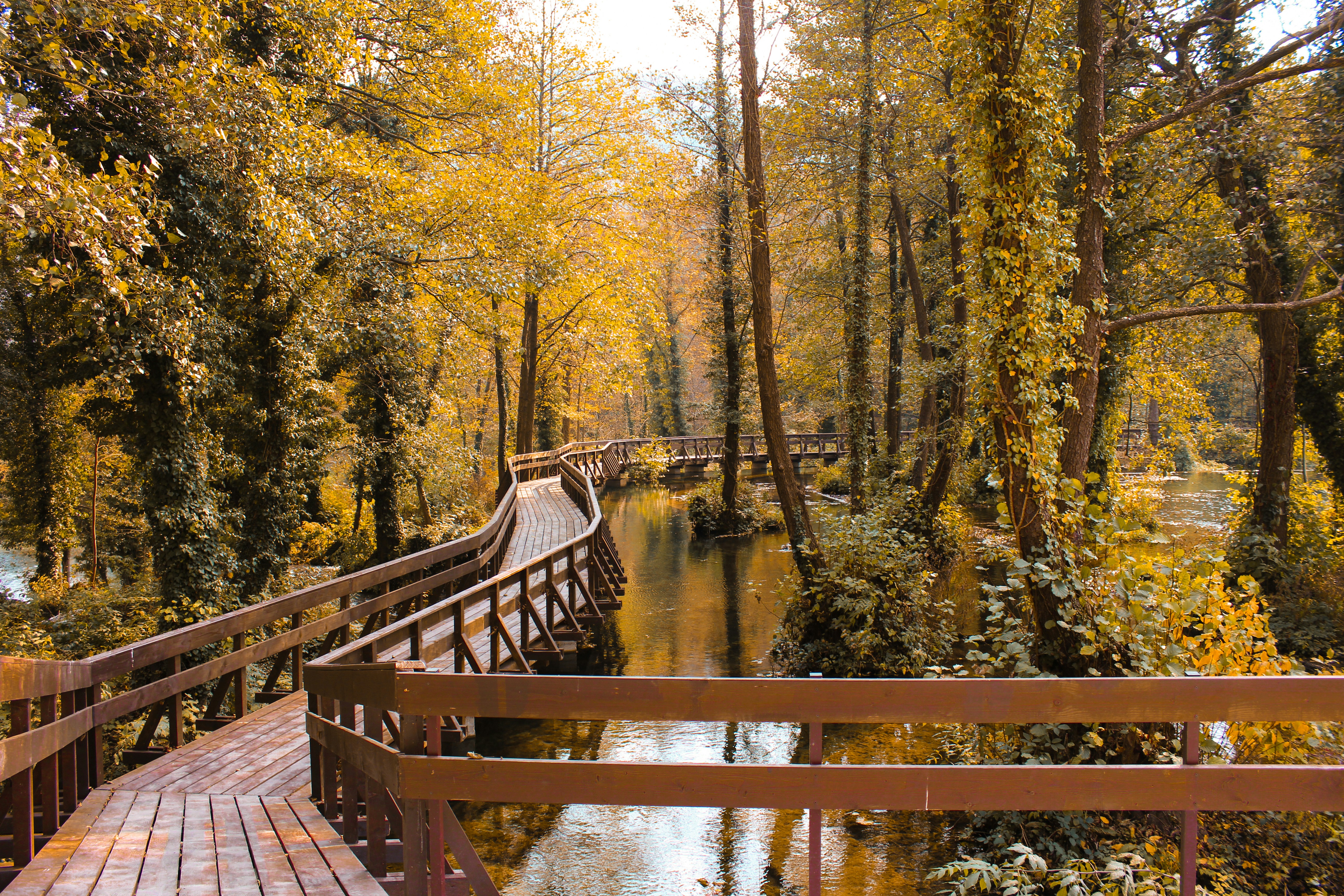 empty wooden bridge over body of water bridge teams background