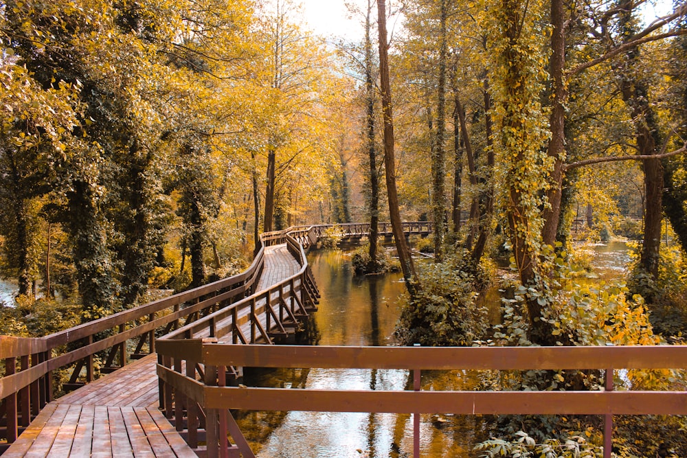 empty wooden bridge over body of water