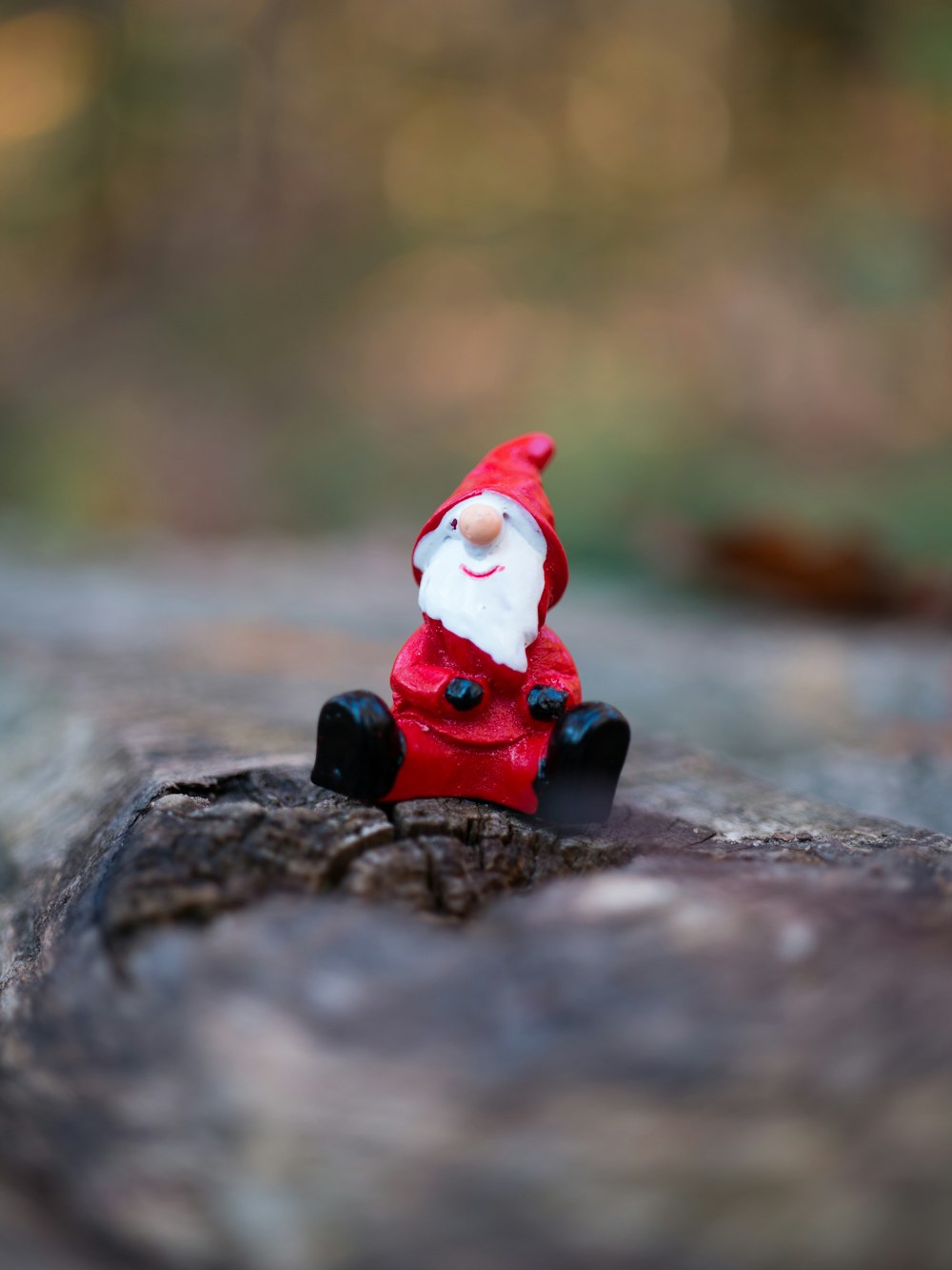 selective focus photography of gnome figurine