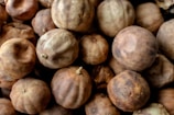 dried round fruits