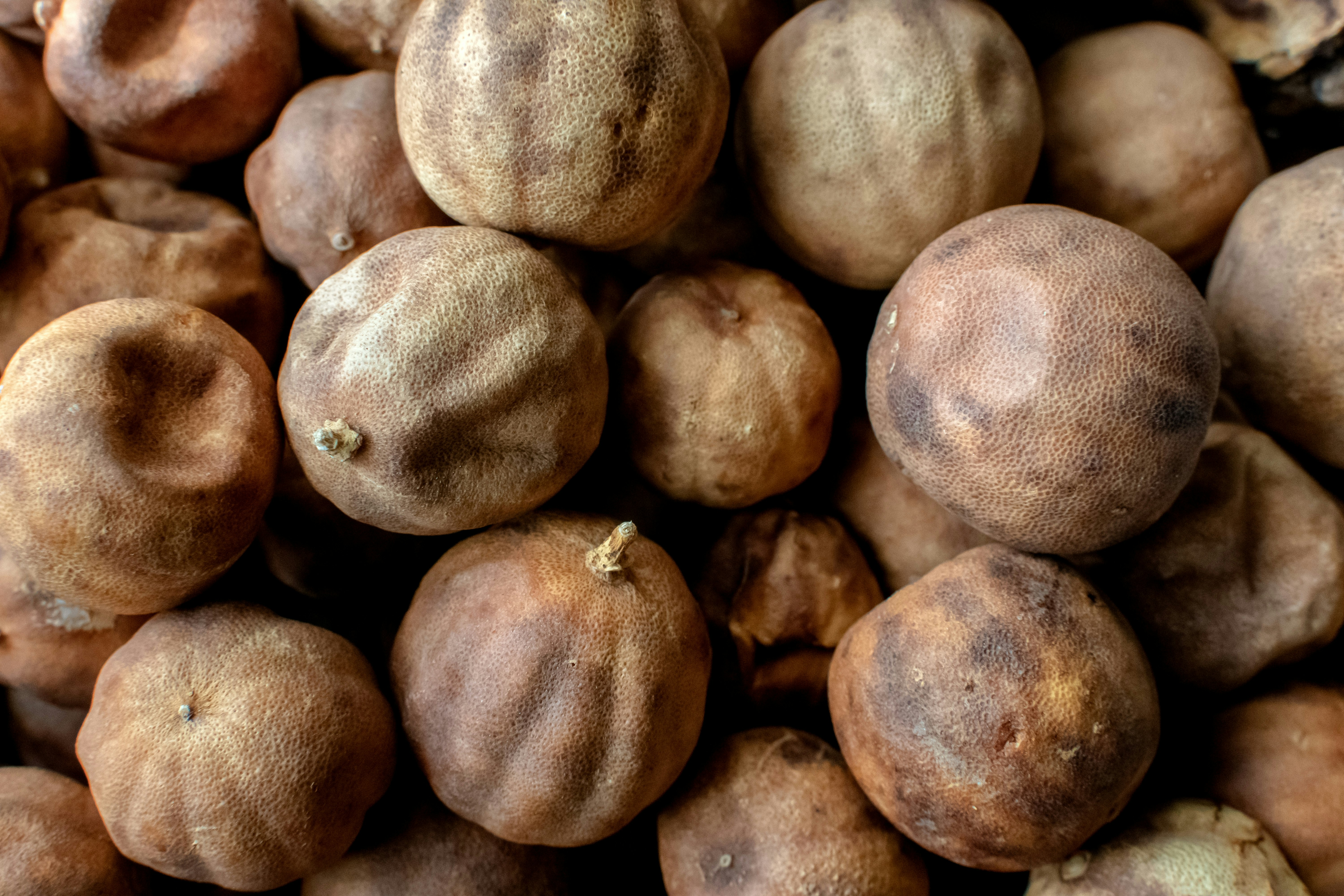 dried round fruits