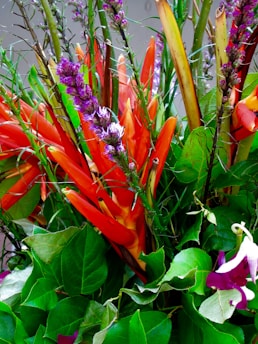 A vibrant tropical fruit arrangement showcasing freshness and color.