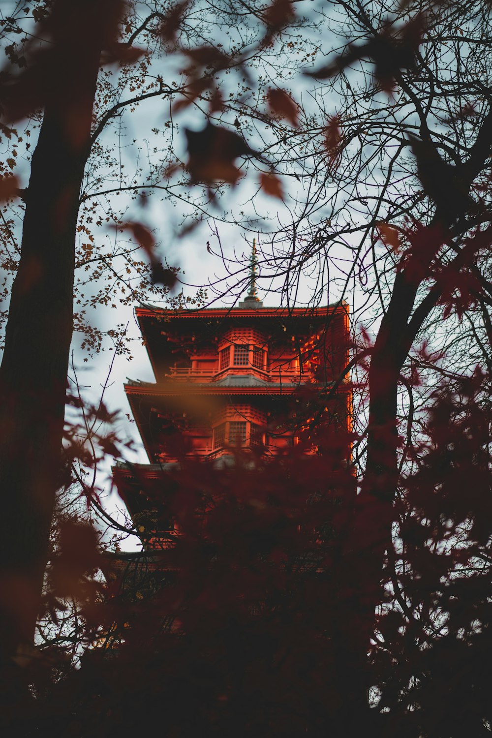 orange and gray Japanese castle with trees