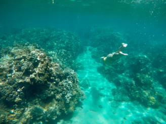 A diver illuminated by sunlight filtering through crystal-clear water near a colorful coral reef.