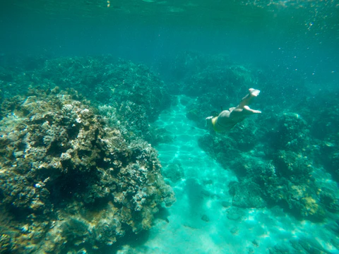 A diver illuminated by sunlight filtering through crystal-clear water near a colorful coral reef.