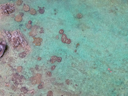 An aerial view of a clear turquoise sea with visible coral formations scattered throughout. Large rocks can be seen in the upper left corner, partially submerged. Two small figures in bright clothing, possibly snorkelers, are visible in the lower right quadrant, floating on the surface.