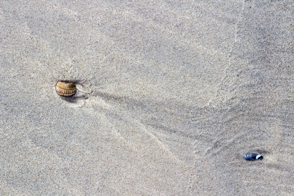 sabbia grigia