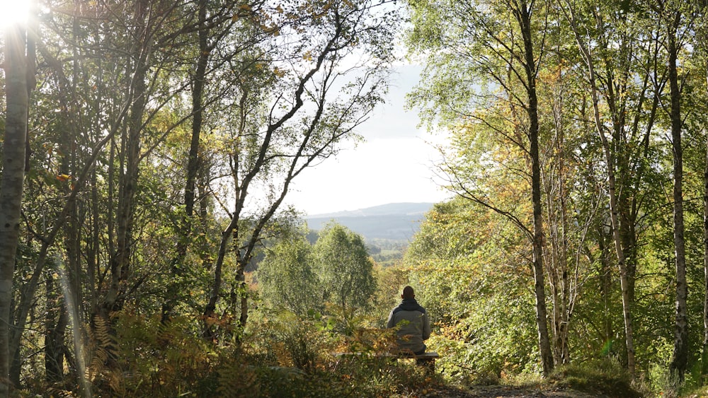 person sitting on high ground between trees