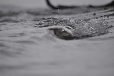 Close-up of a small ocean wave energy converter bobbing in a tank.