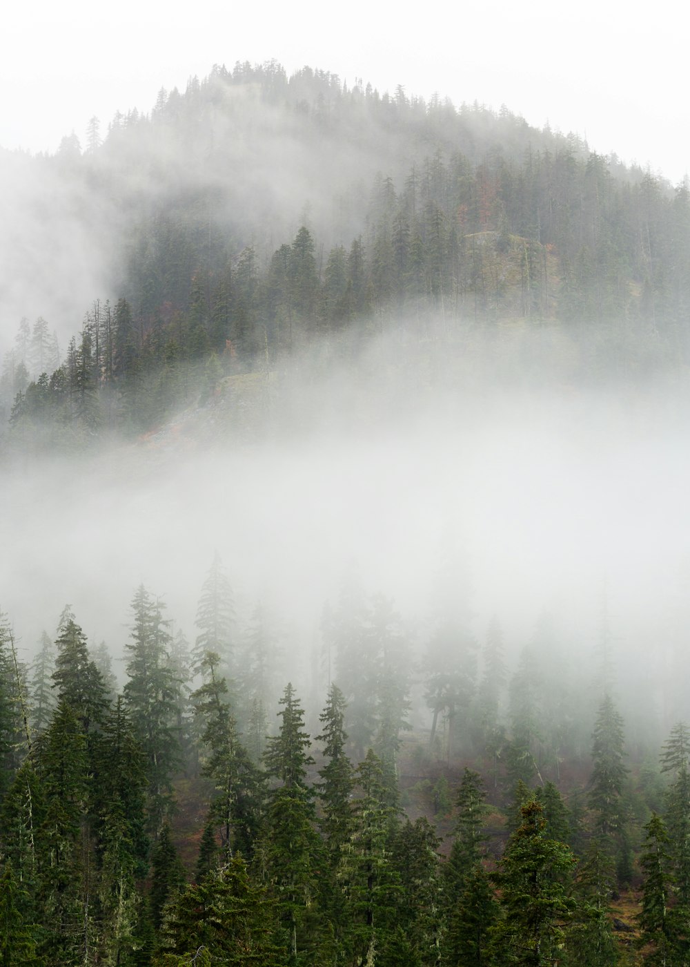 Wolkenbedeckte Berge