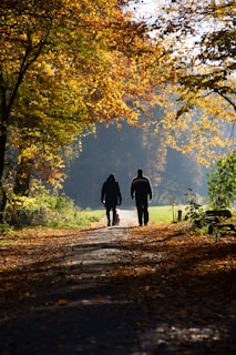 two persons on pathway between trees