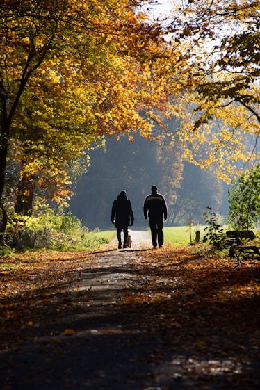 two persons on pathway between trees