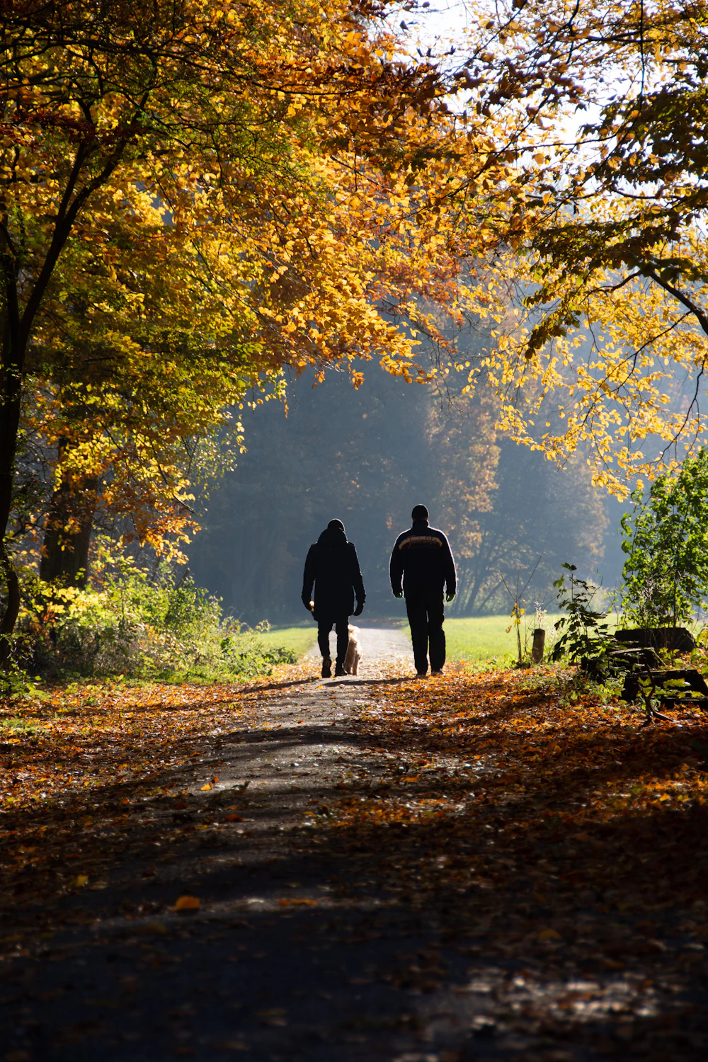 Two people walking side by side along an autumn woodland path, seen from behind