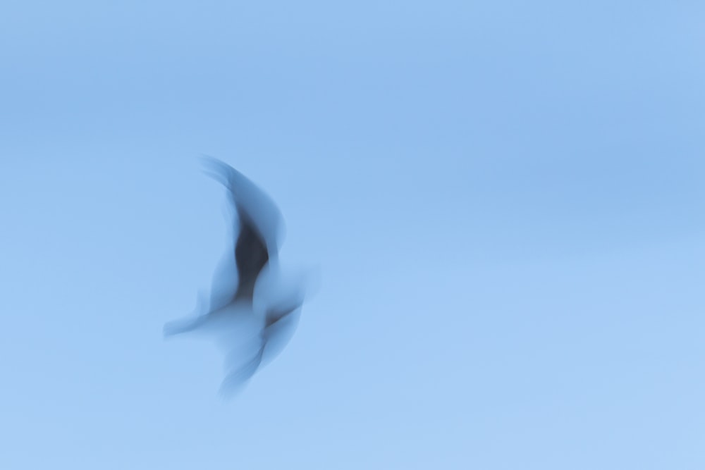 a blurry photo of two birds flying in the sky