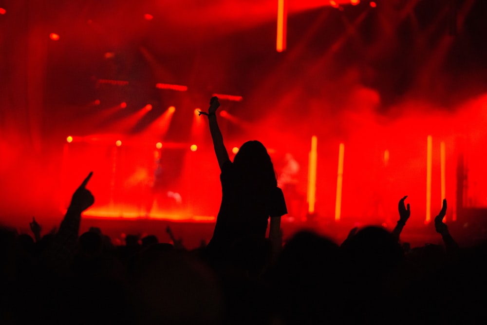 silhouette photography of people in party