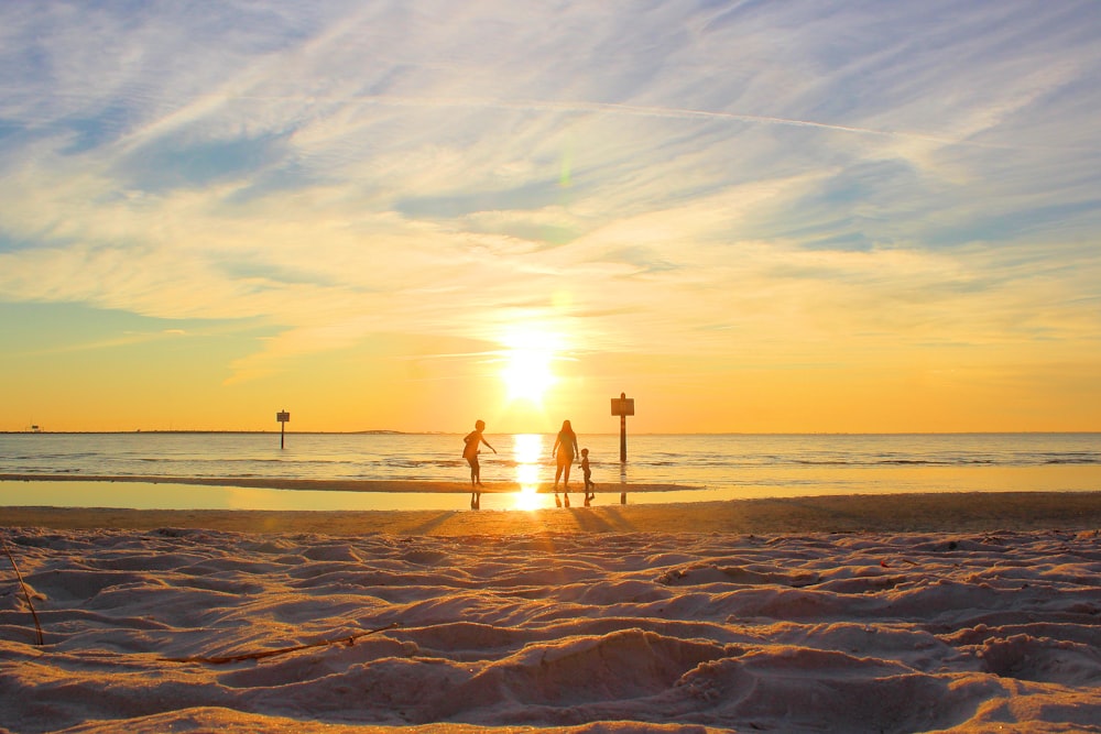 people on beach