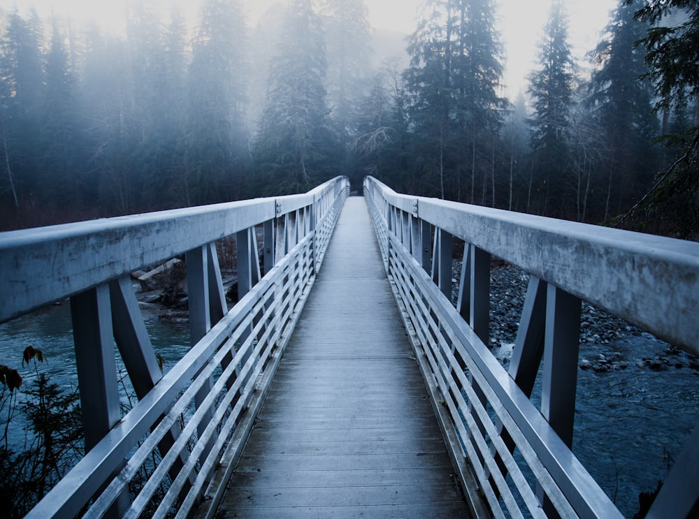 Puente gris sobre el río durante el día Foto