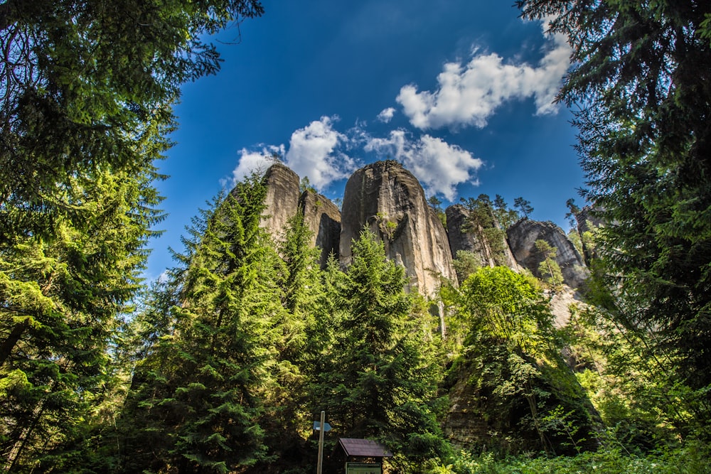 rock formation beside trees