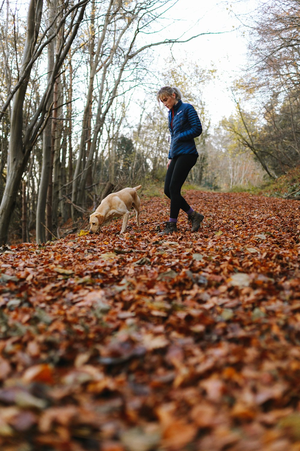 Frau geht mit Hund spazieren