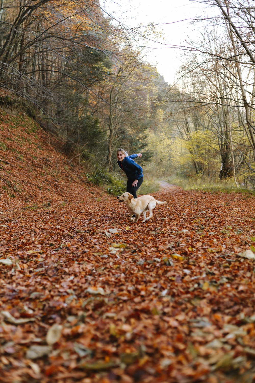 Frau trägt Pullover in der Nähe von gelbem Labrador Retriever