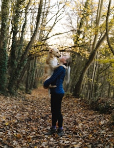 A warm scene of a person gently holding a rescued dog in a sunny park.