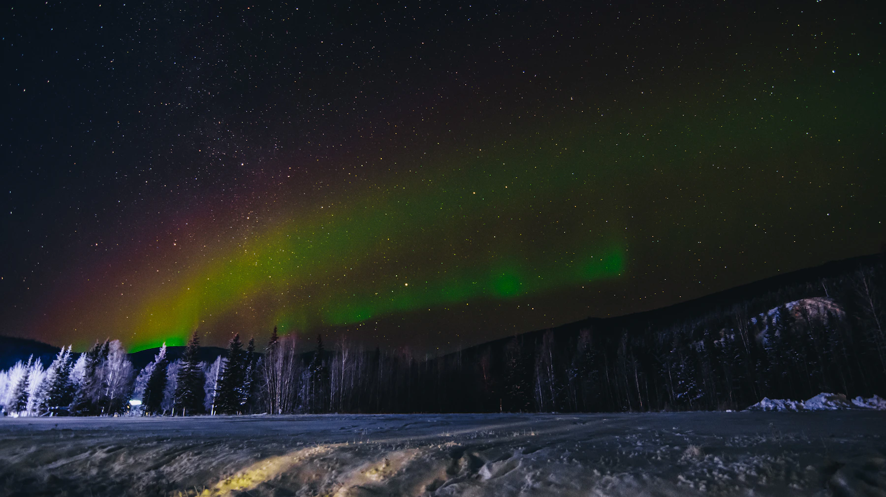 The aurora borealis glowing above a snow-covered northern forest