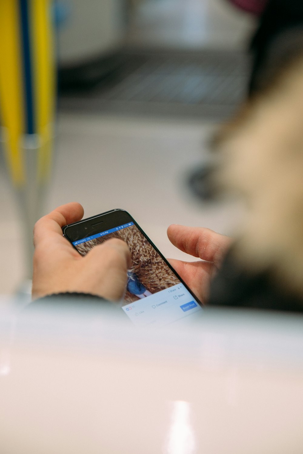 person holding smartphone