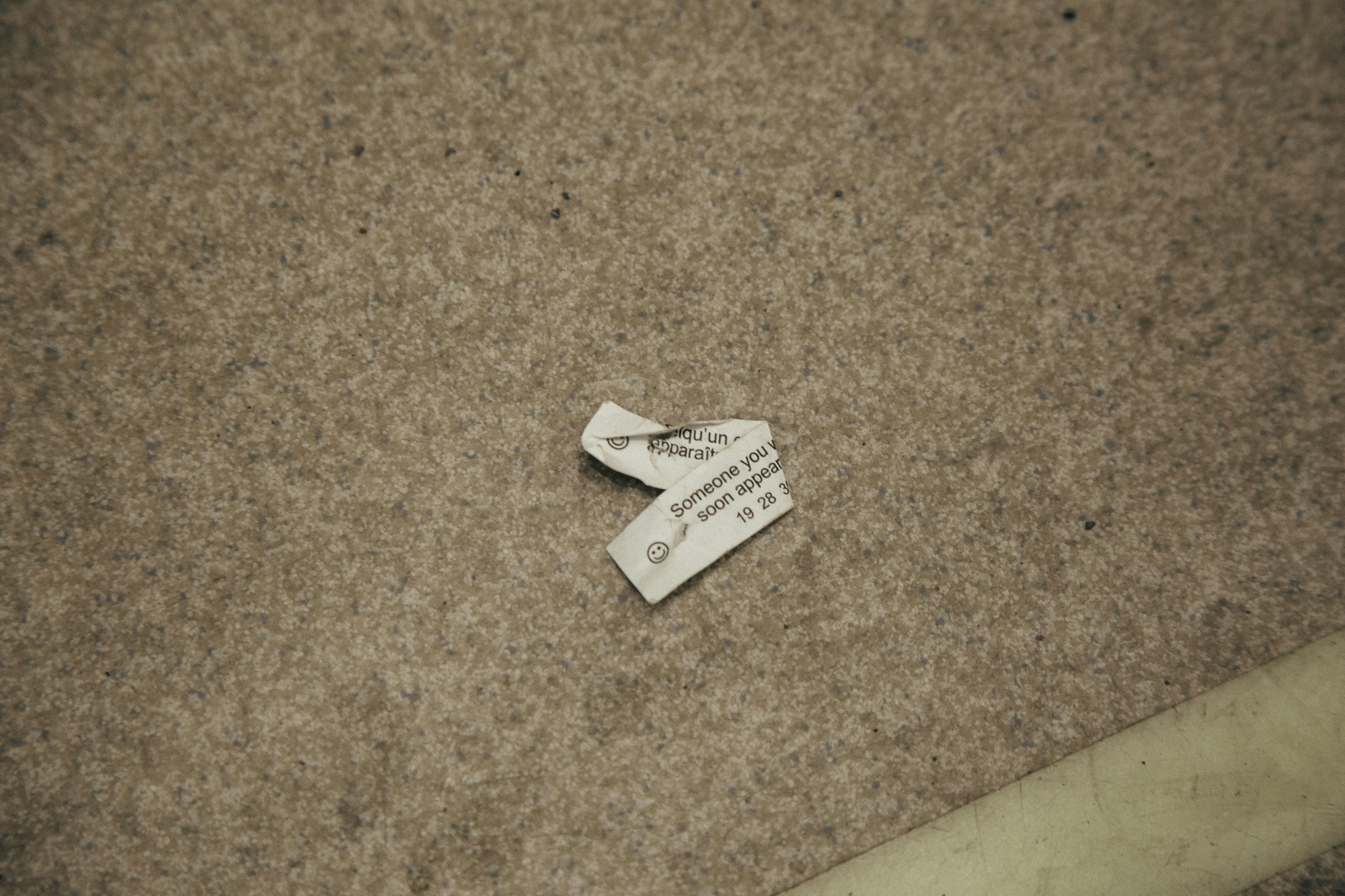 Shredded Paper On The Floor With A Dog Playing Nearby