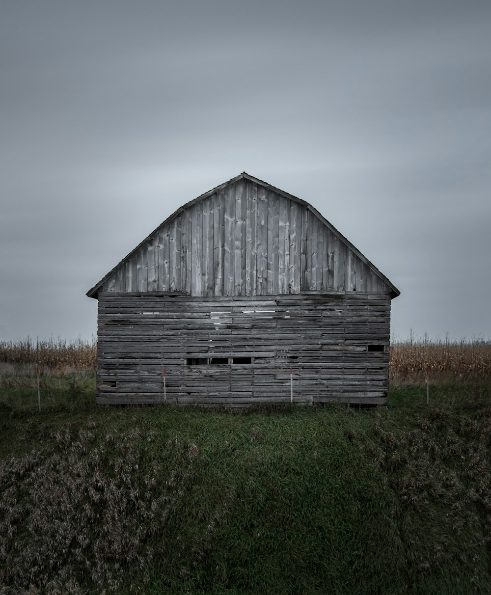 brown wooden barn near corn field