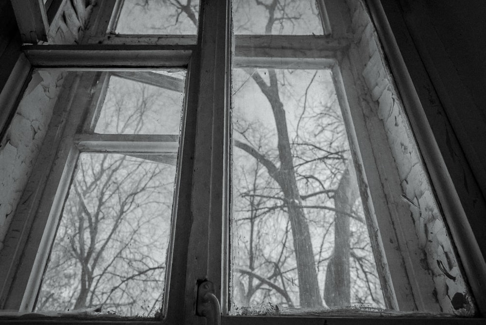 grayscale photography of window beyond trees