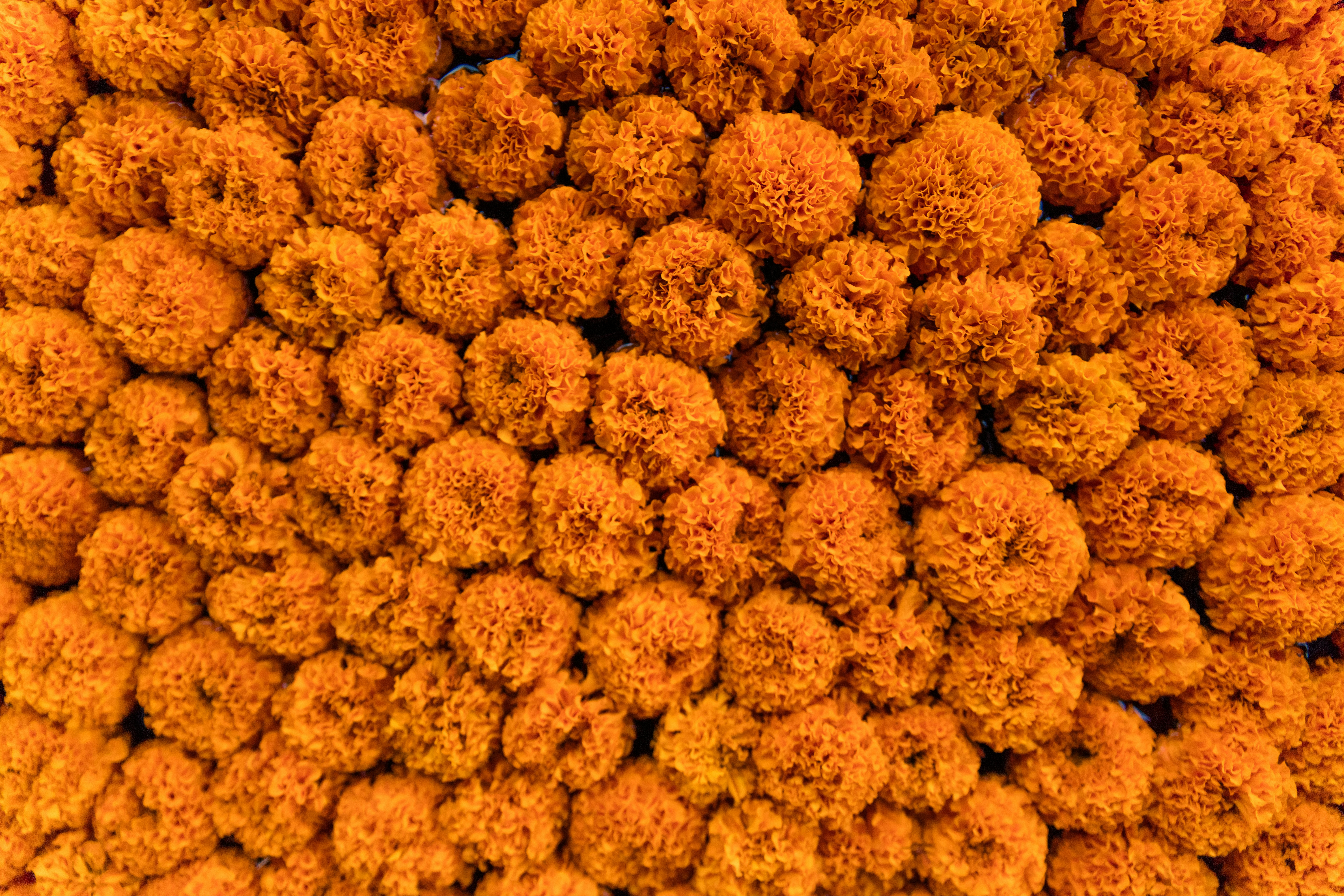 Photo by worldsbetweenlines