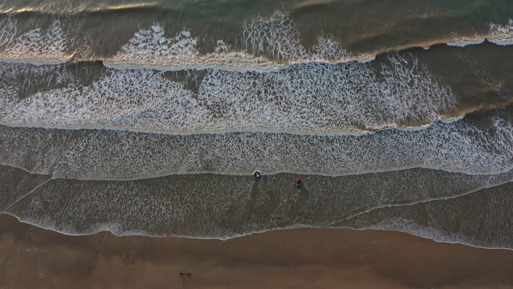 bird's-eye view photography of beach