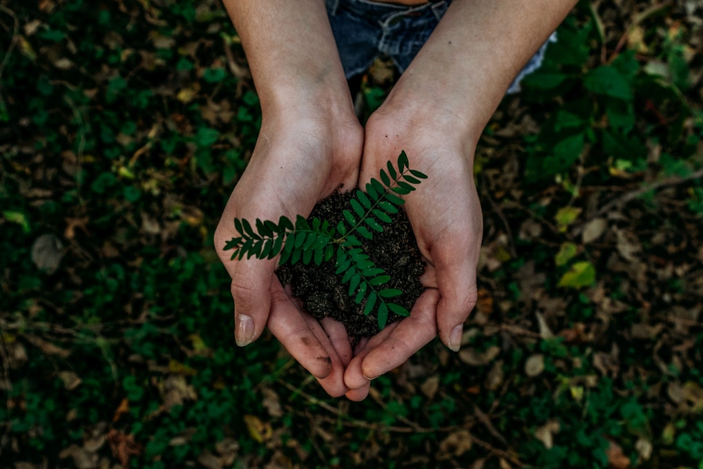 use eco friendly earth friendly cleaning products