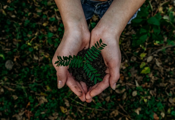 green plant