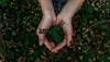 Green Initiatives