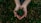 Close-up of hands gently holding soil with a small sprouting plant.
