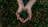 Close-up of hands gently holding soil with a small sprouting plant.