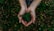 Close-up of hands holding rich soil with young plant sprouting.