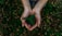 A close-up of hands holding rich soil with green seedlings sprouting.