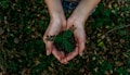 Natural plant ingredients