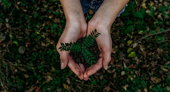 green plant