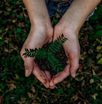 green plant