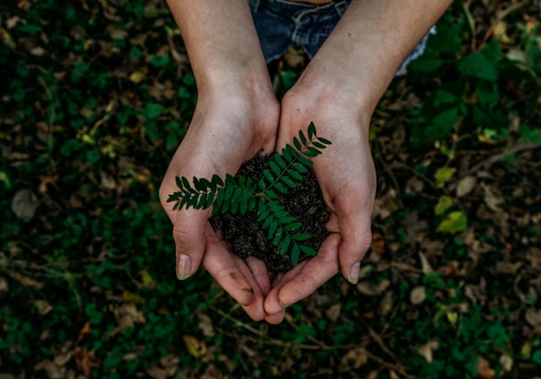 green plant