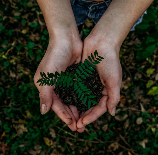 green plant