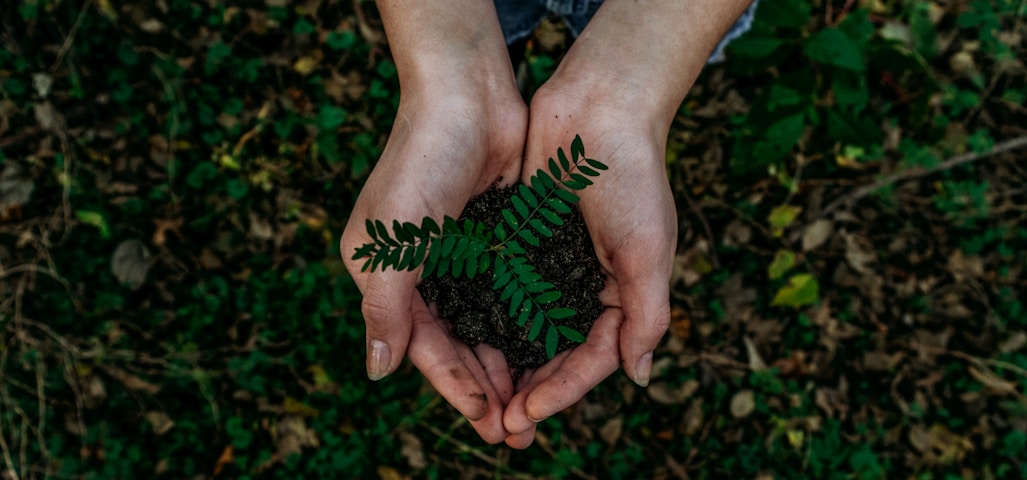 green plant