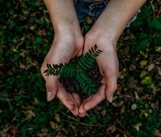 green plant