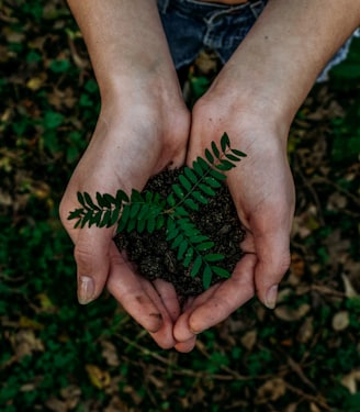 green plant