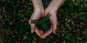 Êtes-vous respectueux de l'environnement?