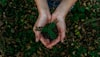 Waste Reduction