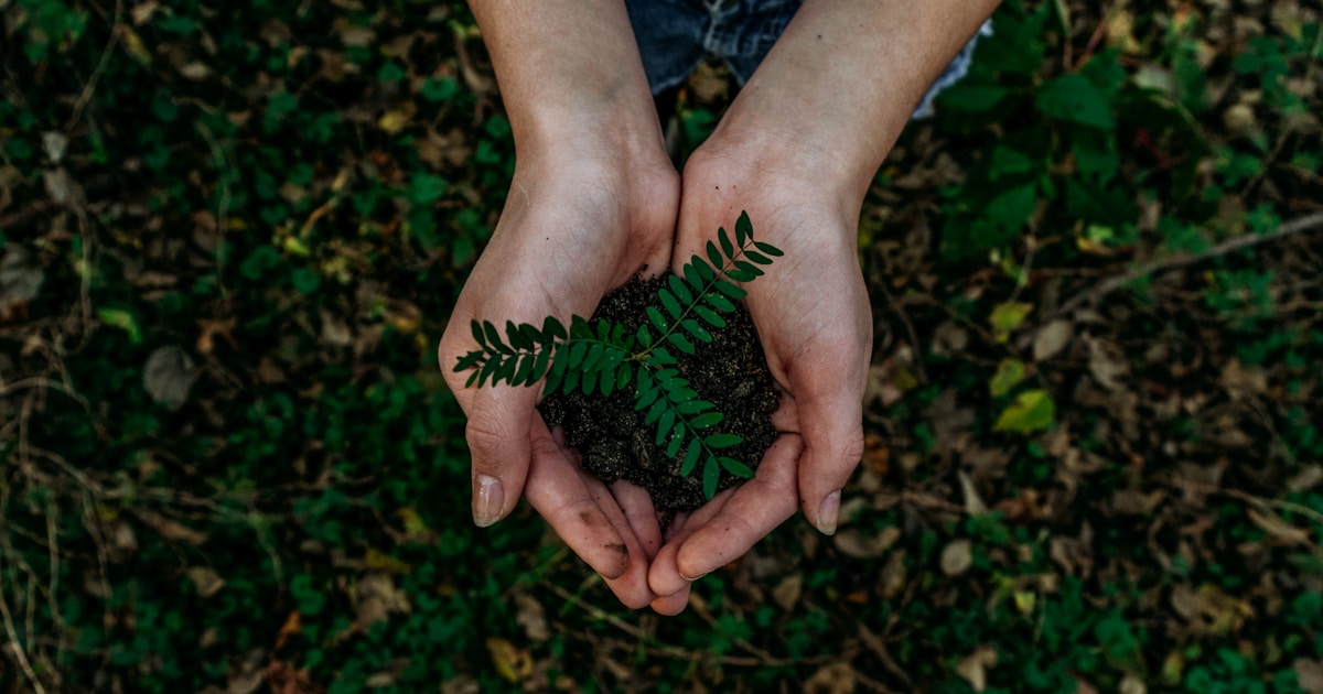Top 5 VCs in Oregon Investing in Sustainability Startups